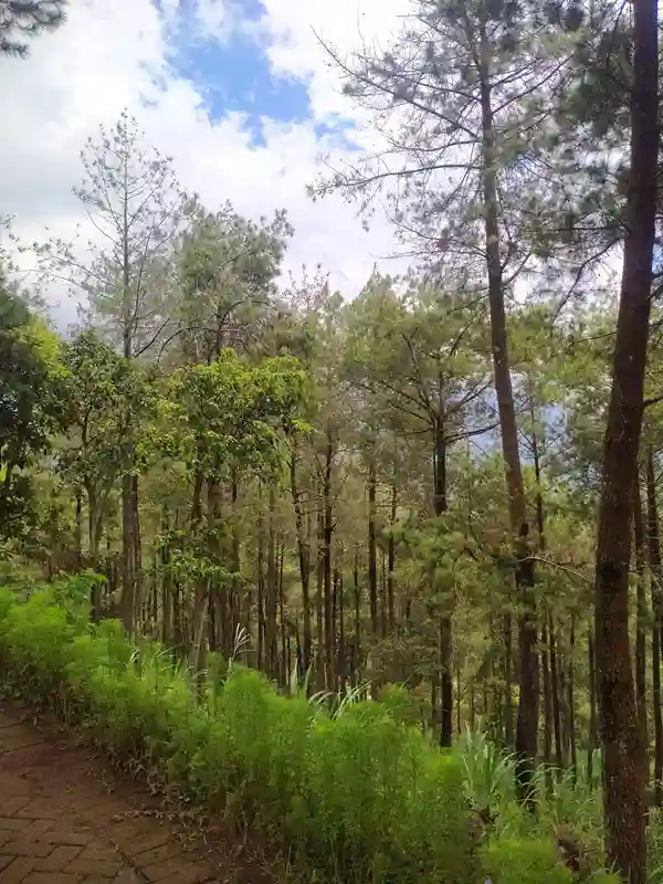 Liburan kemping keluarga yang santai