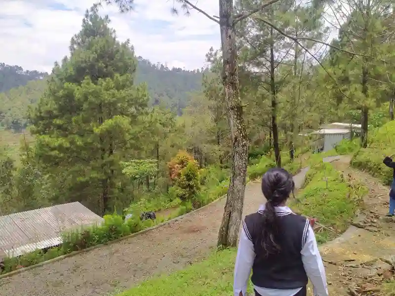 Tenda glamping elegan dan nyaman