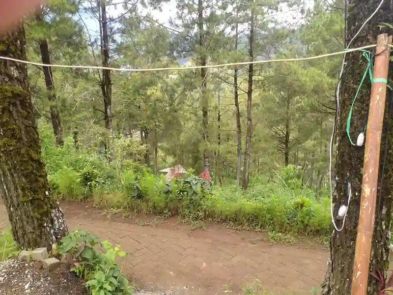 Pemandangan indah pegunungan batu