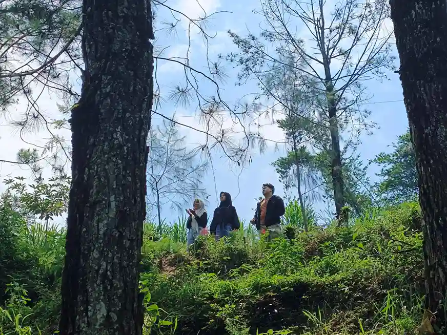 Aktivitas santap alam bersama