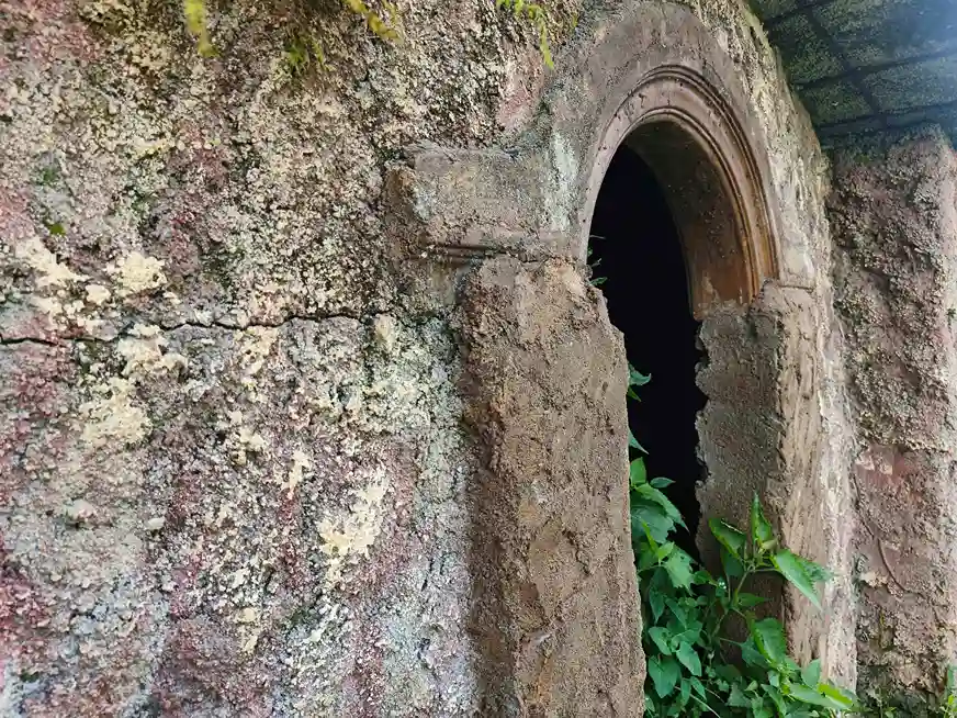 Jalur pendakian yang asri